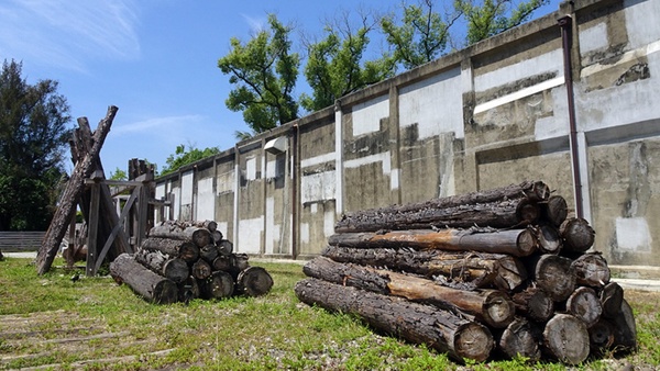 嘉義車庫園區展示了許多退休小火車,是鐵道迷必訪的阿里山景點之一~右滑看更多阿里山必去景點介紹!