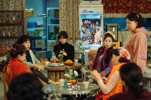 《山茶花開時》邕山阿姨組「婦仇者聯盟」守護冬柏！7個韓劇親友團，2上6房唏噓結尾，雙門洞故事永遠不結束！