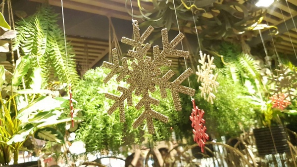 英格莉莉ＸCath Kidston聯名「豹紋厚鬆餅套餐」！超美打卡造景，還有加碼8折優惠券～