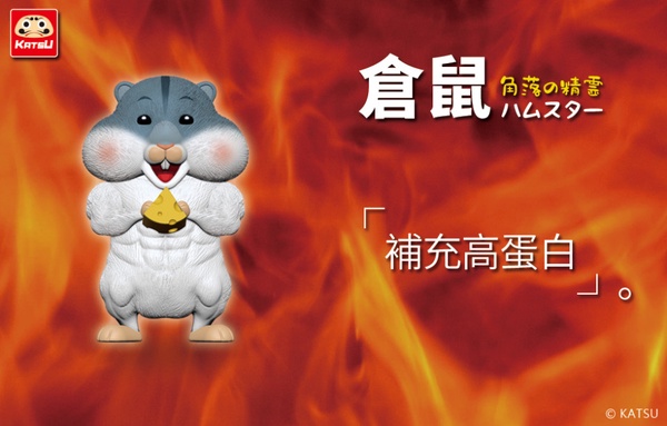 童顏搭配肌肉！夥伴玩具「最強筋肉傳說」，大肌肌的童顏柴犬，認真怪得很可以