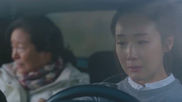 徐玄振《Black Dog》飆戲羅美蘭！5演員對戲老戲骨，南柱赫被金惠子叫「歐爸」毫不違和