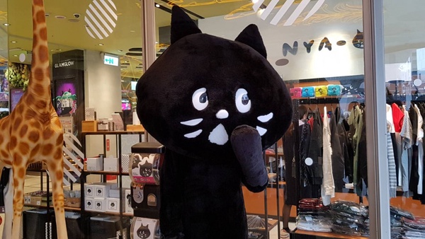 「NYA-」期間限定快閃店來新光三越南西囉！超多台灣日本限定NYA-周邊絕對必買～