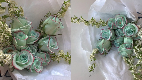 美哭！韓妞INS洗版的「薄荷紅邊漸層玫瑰花束」，聖誕節、紀念日送這束就對了