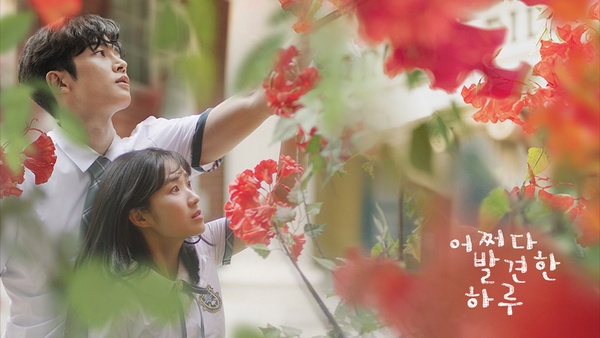 2019韓國Google電視搜索詞TOP10！《山茶花》、《德魯納》自帶話題，這部第一沒懸念