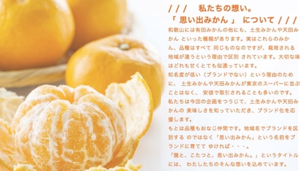 喵喵耍廢必備！瓦楞紙「貓咪暖被桌」日本爆賣中，貓奴們快準備一個給主子吧！