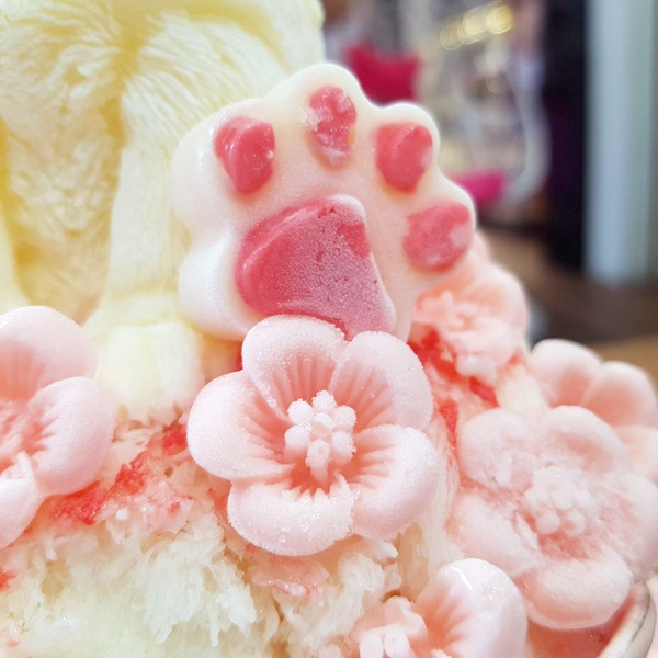 貓奴必吃的雪花冰！高雄「雪花殿」超萌的少女系冰品，上面竟然還有白色貓咪＆貴冰狗