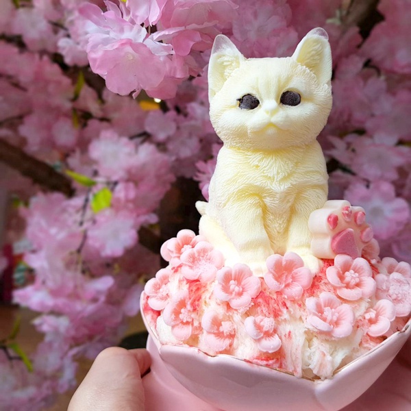 貓奴必吃的雪花冰！高雄「雪花殿」超萌的少女系冰品，上面竟然還有白色貓咪＆貴冰狗