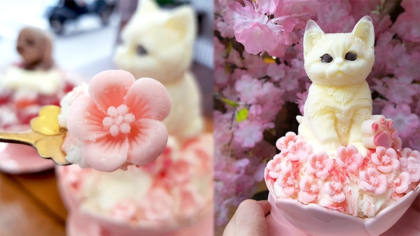 貓奴必吃的雪花冰！高雄「雪花殿」超萌的少女系冰品，上面竟然還有白色貓咪＆貴冰狗