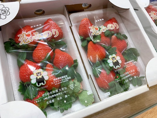 日本九州屋海外首店「9 Palette Parlor」草莓季登場，還有整顆哈密瓜霜淇淋必吃！