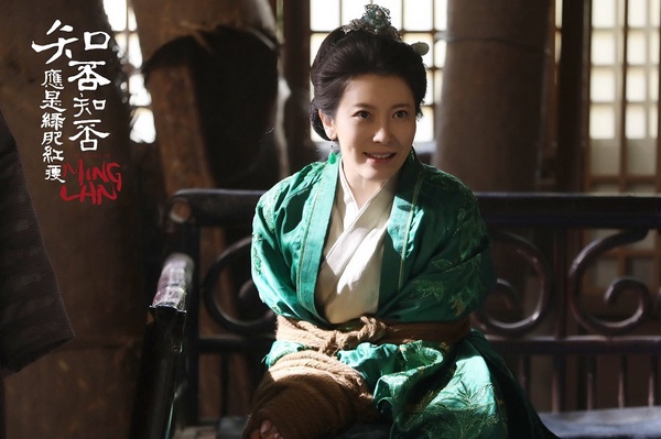 網評9個2019陸劇「比反派更討人厭的角色」!《陳情令》溫情上榜,《東宮》顧劍被提名