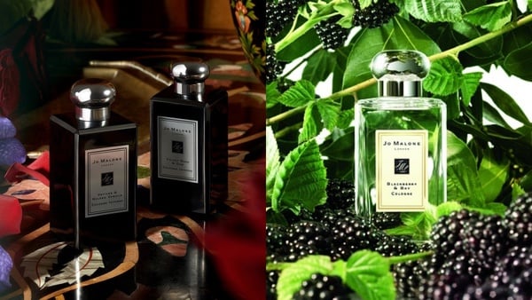 Jo malone 黑瓶混香攻略！「夜來香與白芷」網推人生必收，混搭白瓶小蒼蘭讓人想撲倒～