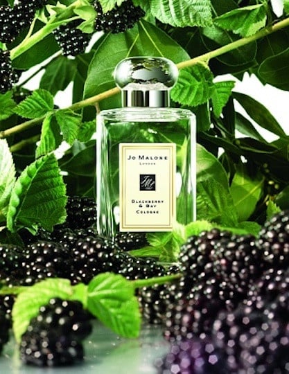 Jo malone 黑瓶混香攻略！「夜來香與白芷」網推人生必收，混搭白瓶小蒼蘭讓人想撲倒～