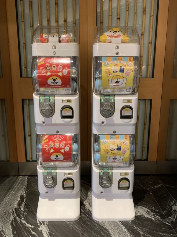饗食天堂又一全新力作「旭集」新日式Buffet登場!超奢華和牛握壽司隨你吃到飽!