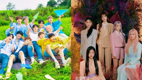 2019年韓國娛樂圈大事件回顧！宋仲基&宋慧喬離婚，雪莉&具荷拉離開，哪件最讓你震撼？