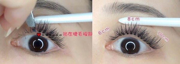 假睫毛怎麼貼？新手必看睫毛接骨密技，3步驟、零失敗的貼出開花翹睫毛！