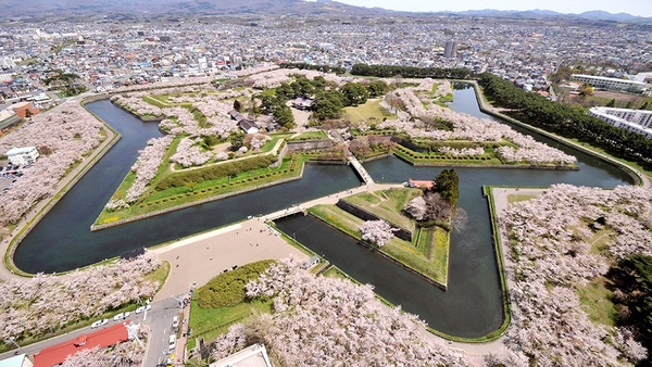 2020日本櫻花最新預測出爐！精選五大賞櫻勝地，絕美櫻吹雪、花筏絕對是人生必看美景！