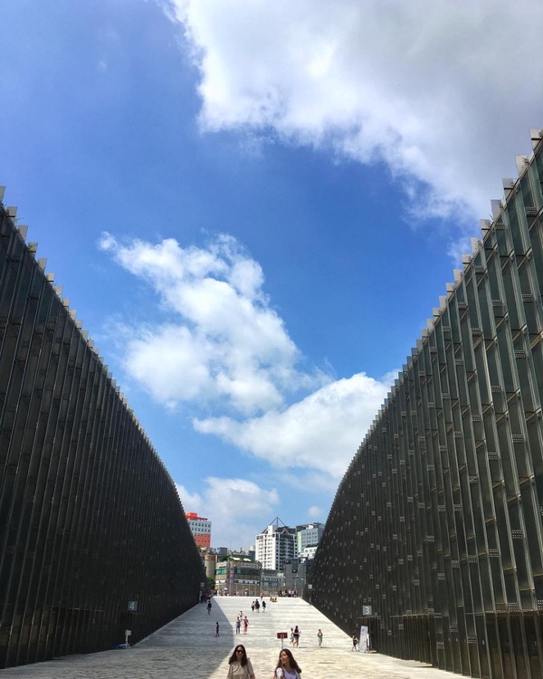 韓國旅遊升至「第三級警告」！日本、韓國旅遊相關規範，行程退費懶人包！