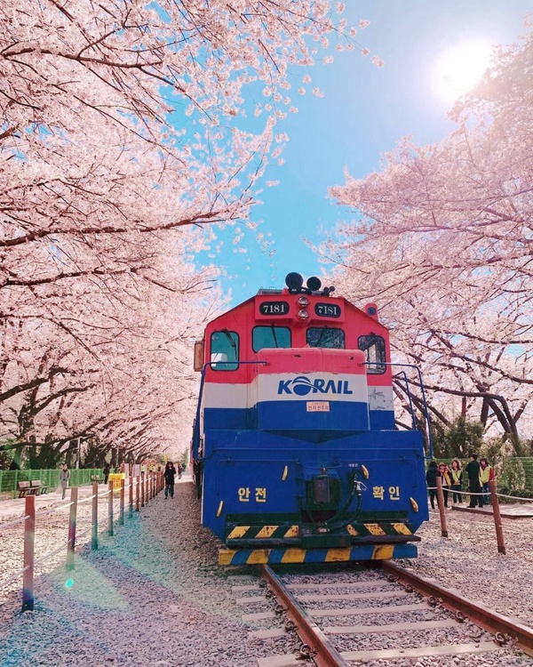 韓國旅遊升至「第三級警告」！日本、韓國旅遊相關規範，行程退費懶人包！