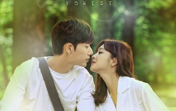 《Forest森林》朴海鎮闖森林大火，拯救趙寶兒！《山茶花開時》後，KBS又出療癒好劇！