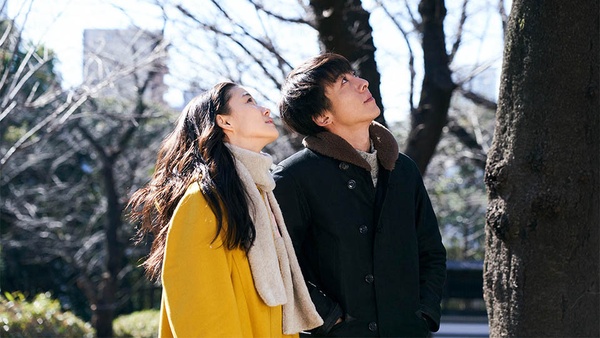 2020情人節約會就看這7部！金獎導演《雨天，紐約》浪漫鉅獻，蒼井優&高橋一生激情狂愛