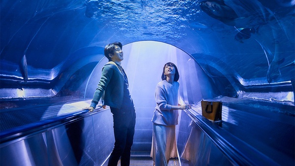 2020情人節約會就看這7部！金獎導演《雨天，紐約》浪漫鉅獻，蒼井優&高橋一生激情狂愛