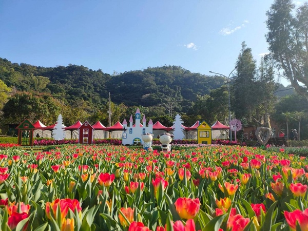 不用飛荷蘭就可賞鬱金香！2020士林官邸鬱金香展即日登場，10萬彩色鬱金香花海等你來拍