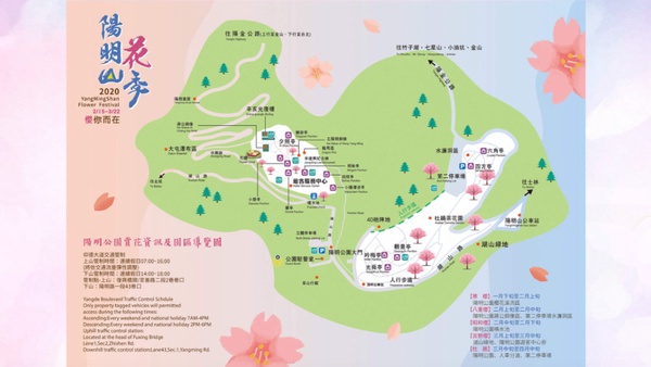 陽明山櫻花季開跑啦！2020陽明山賞櫻景點、交通資訊懶人包，快趁櫻花盛開時來踩點！