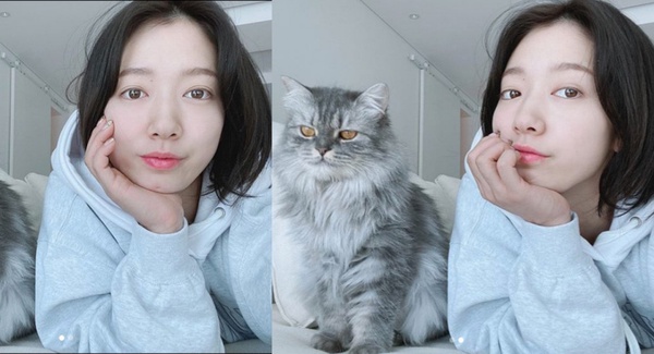 朴信惠短黑髮太清純！2020女星短髮範本，金多美、劉仁娜款圓臉救星，宋茜款帥到沒朋友