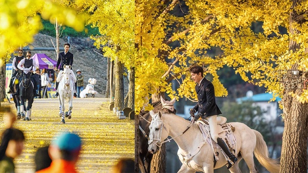 《The King：永遠的君主》定檔4月！路透賽艇&打球&騎馬帥翻，李敏鎬「君主制服」曝光