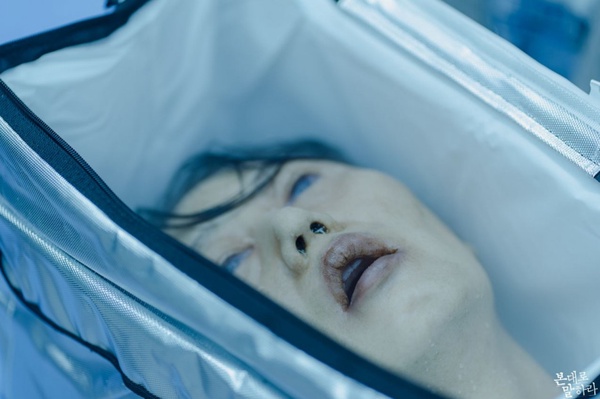 《如實陳述》張赫&秀英新劇血腥無極限！屍體藏冰塊&直播殺人都演出來，案件反轉再反轉