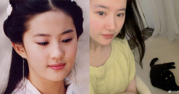 陸網瘋傳周迅12年前舊照和今零差別！趙薇根本小燕子，楊冪、劉亦菲素顏都美的保養法