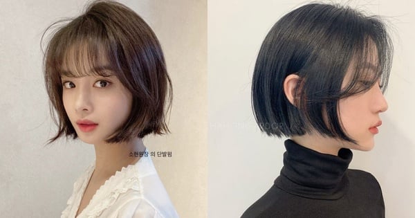 張鈞甯一次剪掉20cm長髮！精靈系短髮可甜可鹽，髮型師臉型選短髮秘訣，這款拯救肉餅臉