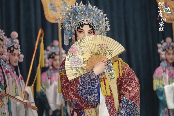 近期陸劇評分榜TOP 10！《冰糖燉雪梨》成2020高口碑甜劇，《鬢邊不是海棠紅》意外帶感