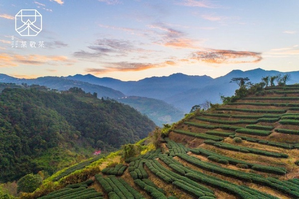 芋頭控必喝！茶敬茶推「滿福奶茶」，芋圓、芋泥尬仙草一杯就給你超級飽足感！