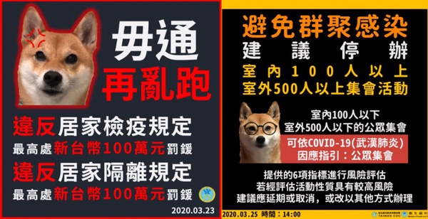 「防疫豬隊友」最新名詞出爐!防疫期間趴趴走的「Covidiot」,新冠白癡例句解析!