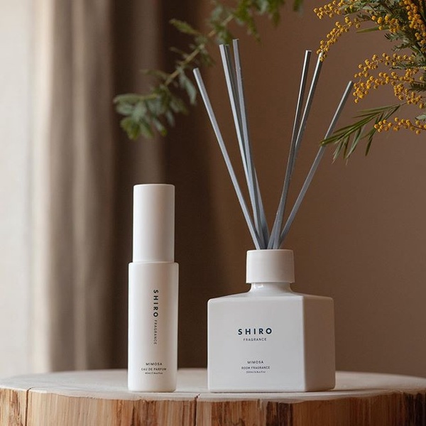 日本美妝品牌「shiro」即將來台，零負評必買品項大公開，酒粕化妝水日妞超推！