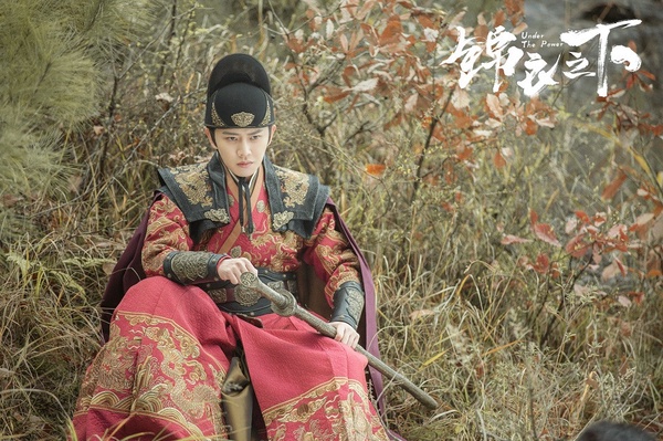 任嘉倫《暮白首》將襲，想嫁男主+1！網議10個「陸劇最想嫁男主」，帝君情趣滿分得第一