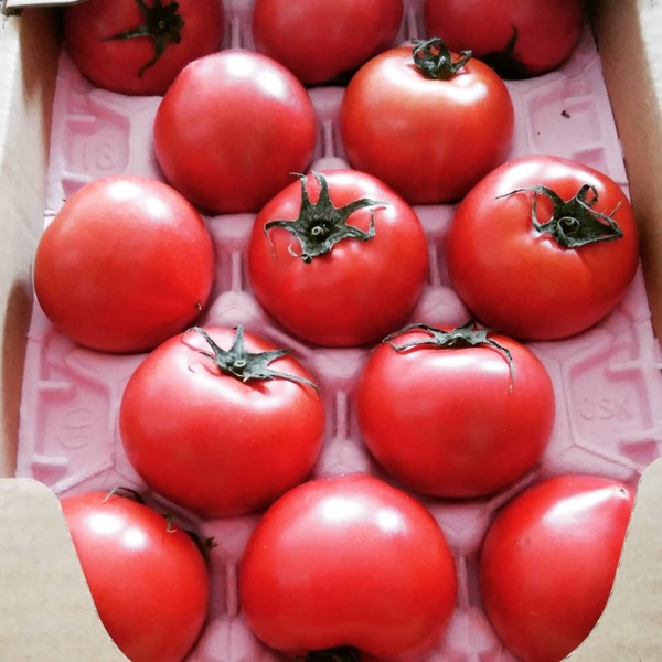 5種美白淡斑必吃天然食物！阻斷黑色素生成、改善色素沉澱、抗氧化，還能幫助燃燒脂肪