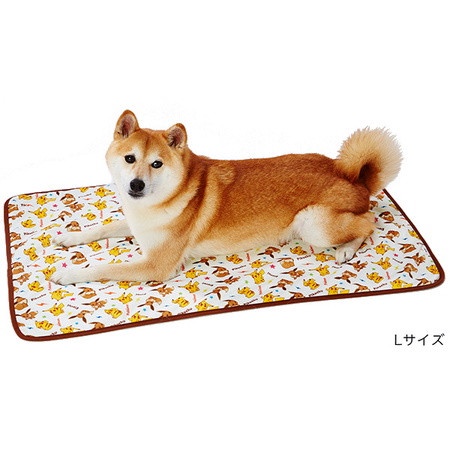 日本Petio推出「寶可夢寵物用品」，寶貝球、皮卡丘造型睡墊，超萌伊布頭套也要收藏！