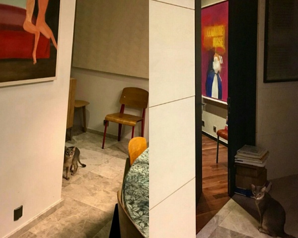 看完讓人想嫁！韓綜公開「男偶像豪宅」，SHINee、GD奢華住家根本是飯店、明星鄰居超多