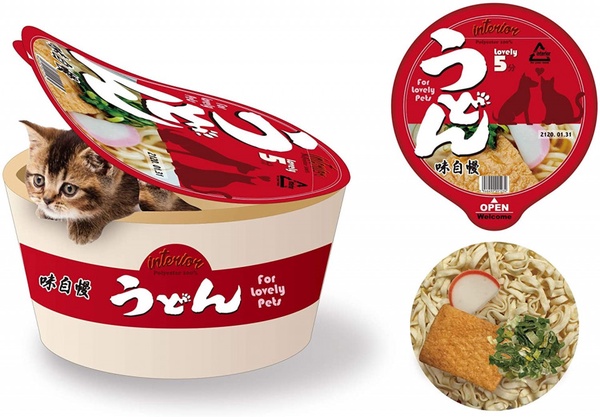 在烏龍麵裡發現狗狗？毛小孩躺進「寵物杯麵床」，既療癒又萌翻天！