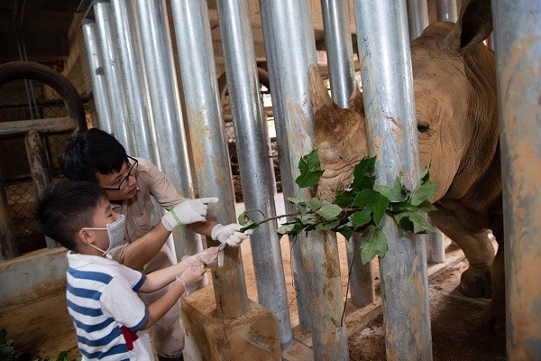 全台唯一「動物園飯店」！六福莊推出住宿優惠，房間內看長頸鹿，最低每人不到千元！
