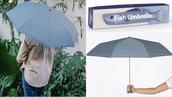 梅雨季「最夢幻雨傘、收納傘架」推薦～鯉魚、貓咪造型萌翻，風雨再大也能有好心情！