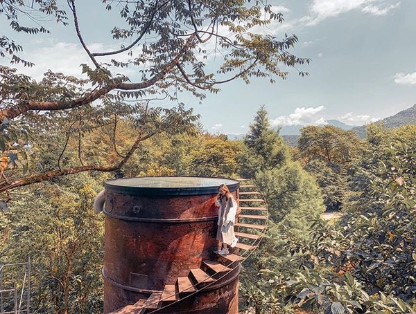 南投森林旅館「九樹創意旅居」推薦！超夢幻玻璃屋、森林鳥巢造景，隨處拍都美不勝收！