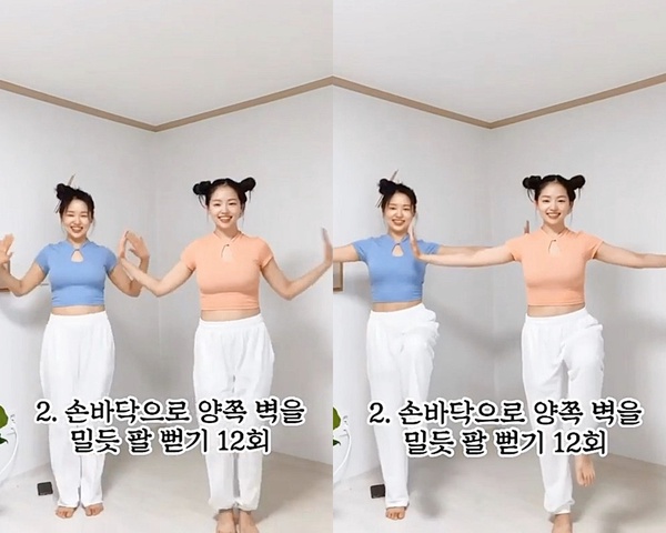 消副乳、瘦手臂運動2:W字平推
