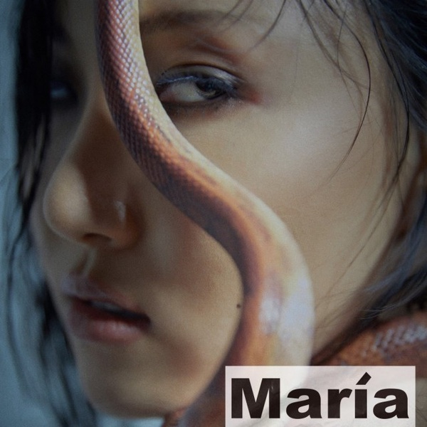 Mamamoo華莎首張專輯MARIA強勢回歸!頭號粉絲李多熙搶cover,粉絲呼:追星超成功!