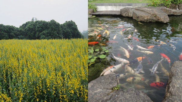 走進神隱少女世界！台南「微風山谷」民宿是湯婆婆的湯屋，巨大白兔根本底片殺手