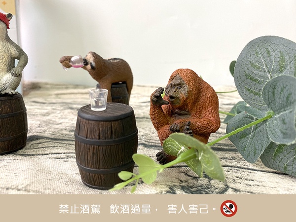 樹懶你不要再喝了！Animal Life「買醉人生」第二彈，超ㄎㄧㄤ模樣看了都想一起喝起來