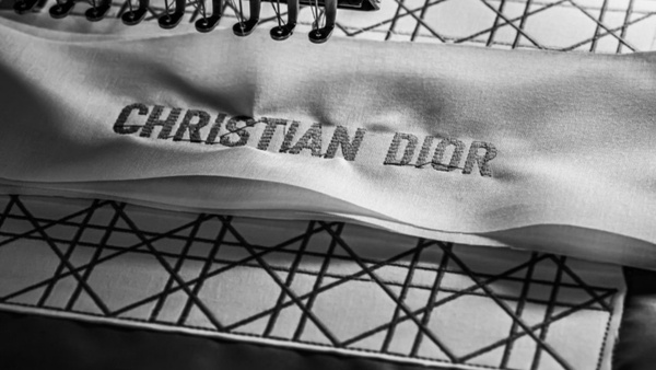 Dior Lady D-Lite 刺繡包，2020 秋冬再推「牛仔藍」、「煙燻玫瑰粉」新色！