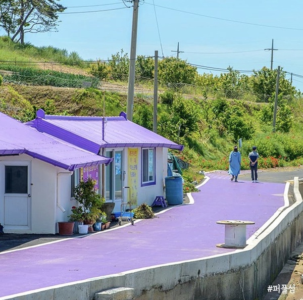 韓國熱門景點「紫色小島」秘境，公路、車輛、咖啡廳都是夢幻紫色，紫色控必上島打卡！